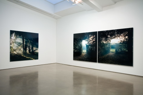 Jane and Louise Wilson, Installation at 303 Gallery, New York, 2011