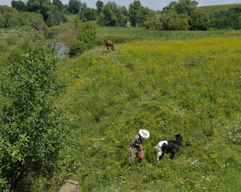 Stephen Shore, Bazalia, Ukraine, July 27, 2012