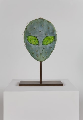 Matt Johnson, Alien Cactus, 2015