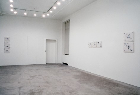 Collier Schorr, Installation view: The Chase, 303 Gallery, 1990