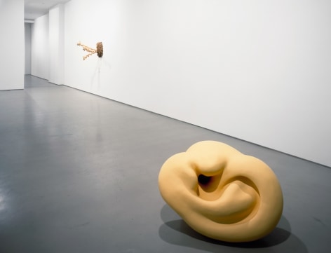 Daniel Oates, Installation view: 303 Gallery, 1998