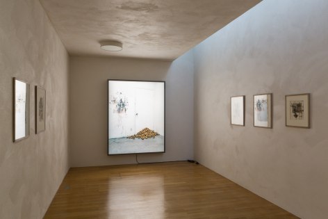 Rodney Graham, Installation view: Sammlung Goetz, M&uuml;nchen, 2016
