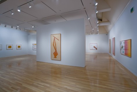 Larry Johnson, Installation view: Hammer Museum, Los Angeles, 2009