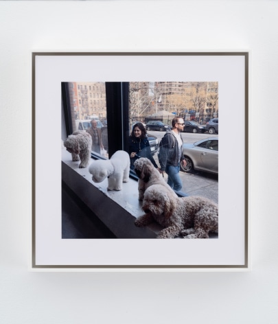 Stephen Shore, Dog Room Club, New York, New York, March 23, 2016
