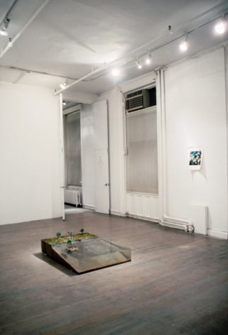 Installation view: A Perfect Day, 303 Gallery, 1994