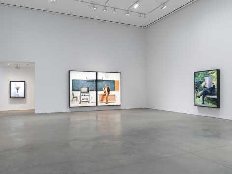 Rodney Graham, Installation view: 303 Gallery, 2017