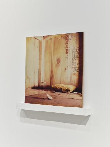 Jane &amp;amp; Louise Wilson, Cult Cabin