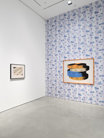 Installation view:&nbsp;Project Room: Larry Johnson,&nbsp;303 Gallery, New York, 2025. Photo: Justin Craun