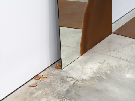 Alicja Kwade, Incident (Trait Transference), 2016