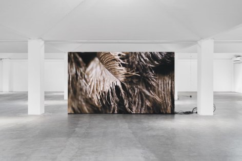 Installation view, Nina Canell, Future Mechanism Rag Plus Two Grams, Simian, Cophenhagen, 2024. Photo: GRAYSC / Simian