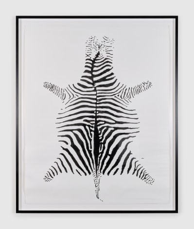 Hans-Peter Feldmann, Zebra