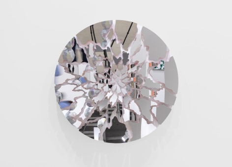 Doug Aitken, Terra (camouflage 163-176C)