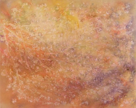 Sam Falls, Early Spring