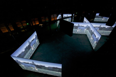 Doug Aitken, ALTERED EARTH, 2012, Arles