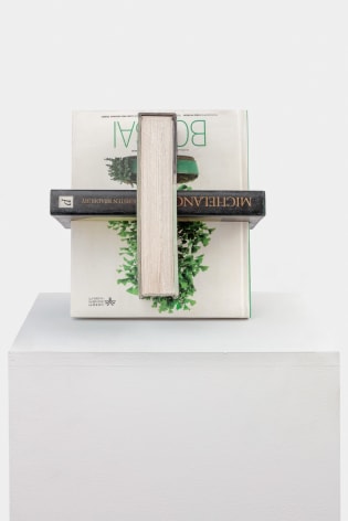 Matt Johnson, Intersecting Books (Henry Moore, Michelangelo, and Bonsai)