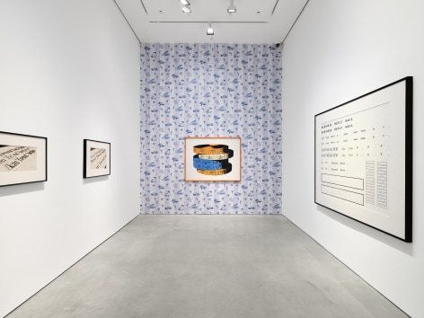 Installation view:&nbsp;Project Room: Larry Johnson,&nbsp;303 Gallery, New York, 2025. Photo: Justin Craun