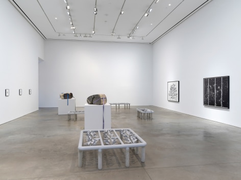Installation view: Marina Pinsky, 303 Gallery, New York, 2018