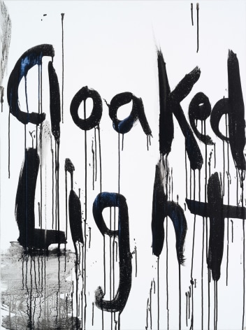 Kim Gordon, Cloaked Light, 2010