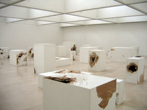 Mike Nelson, Installation view:&nbsp;Le Cannibale (Parody, Consumption and Institutional Critique)