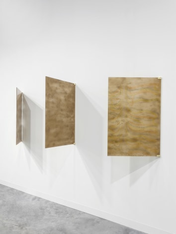 Kim Gordon, Gold Rush, 2016