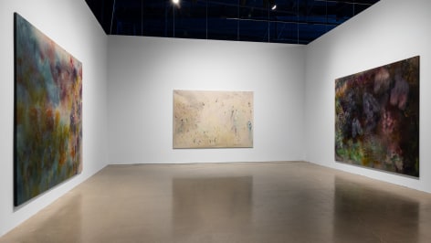 Installation view: Sam Falls, We Are Dust and Shadow, moCa Cleveland, 2023. Courtesy moCa Cleveland. Photo: Jacob Koestler