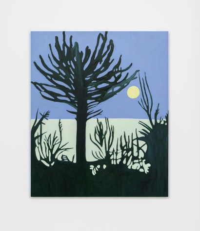 Cassi Namoda, A Gentle rain is dying