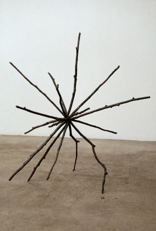 Liz Larner, Twig #15 (Mosquito), 1991