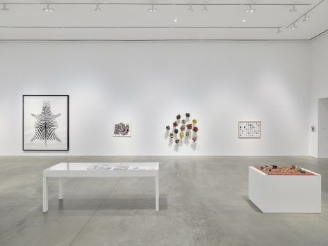 Installation view:&nbsp;Hans-Peter Feldmann,&nbsp;303 Gallery, New York, 2025. Photo: Justin Craun