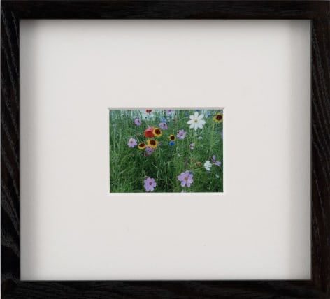 Karen Kilimnik, fairy wildflowers