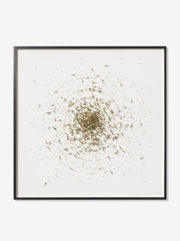 Alicja Kwade, 61d, Acausal Emergence