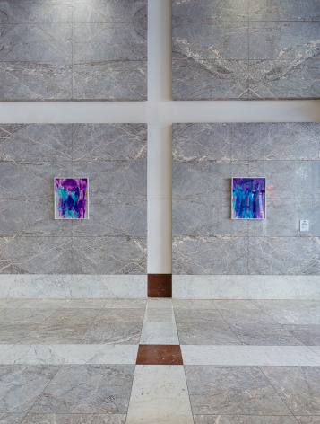 Sam Falls, Installation view: Light Over Time, Public Art Fund, New York, 2014