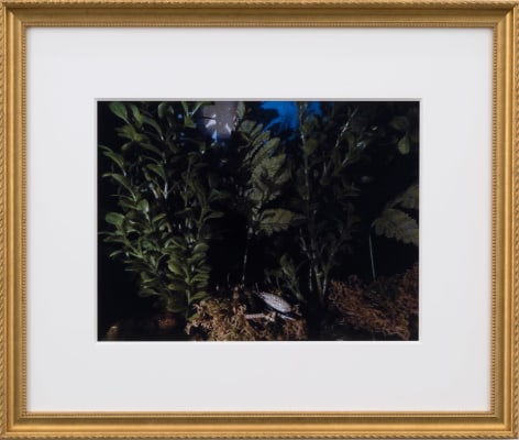 Karen Kilimnik, lysander in field france 1943, 2013