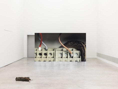 Exhibition view: Nina Canell, Tectonic Tender, Berlinische Galerie, 2022. &nbsp;Foto: &copy; Nick Ash
