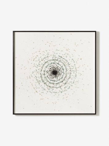 Alicja Kwade, From light to dark in 3 months (91 days/2184 hours)