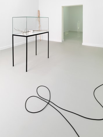Alicja Kwade, Installation view: Monologue from the 11th Floor Haus am Waldsee, Berlin, 2015