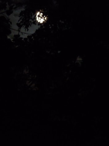 Karen Kilimnik, my walk in woods at night, 2011