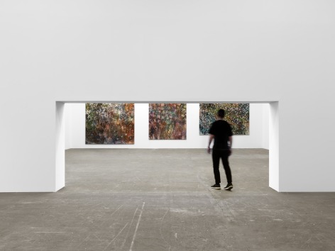 Installation view: Sam Falls, Art Basel - Art Unlimited, Booth U46, Courtesy 303 Gallery, New York; Galleria Franco Noero, Torino; Galerie Eva Presenhuber, Zurich / New York