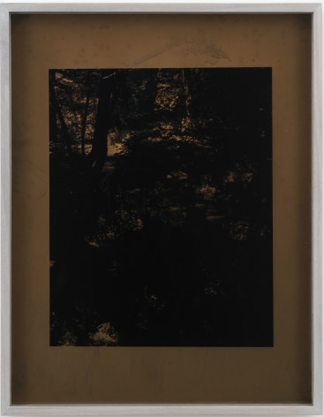 Sam Falls, Moon Light, 2018