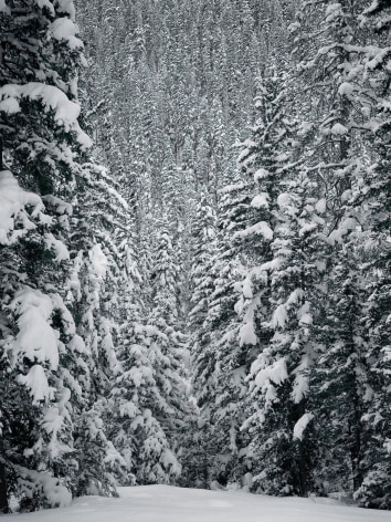 Stephen Shore, Hyalite Canyon, Gallatin County, Montana, December 26, 2017