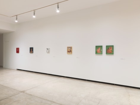 Installation view of Elad Lassry, exhibition at the Vancouver Art Gallery, June 24 to October 1, 2017