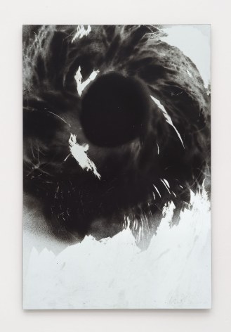 Kim Gordon, mirror wreath #1, 2016