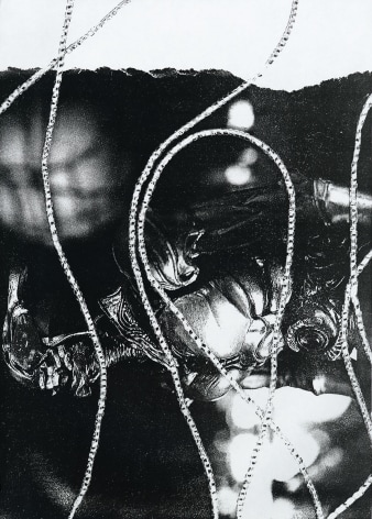 Wineke Gartz, Warrior, 2009