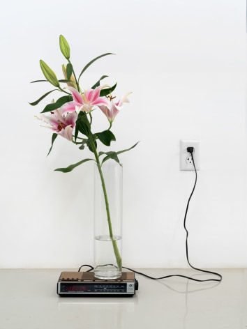 Dominique Gonzalez-Foerster, Untitled