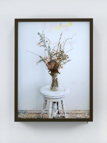 Rodney Graham, Dead Flowers In My Studio 2, 2017