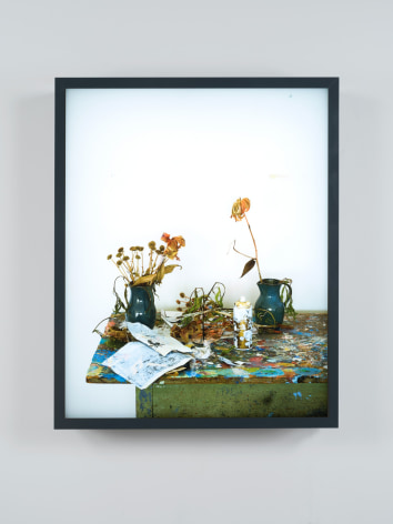 Rodney Graham, Dead Flowers in My Studio 3, 2017