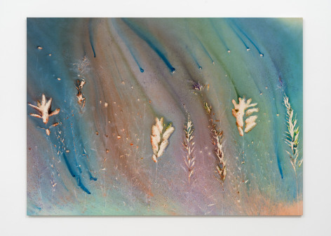 Sam Falls, Summer Field