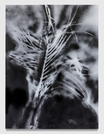 Kim Gordon, Flung Palm, 2017