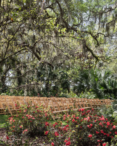 Photo of rows of empty wooden event chairs amongst roses, palms, and mossy tree branches.
