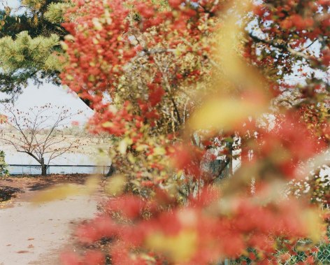 Color photo of a path near a body of water with a colorful bush out of focus in the foreground.