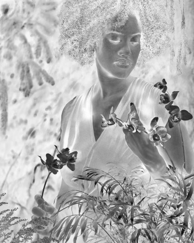 Black and white negative photograph of woman holding and examining flowers.